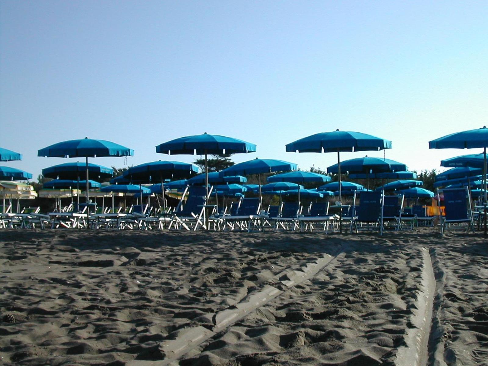 Hotel Flora Marina Di Bibbona Exterior foto